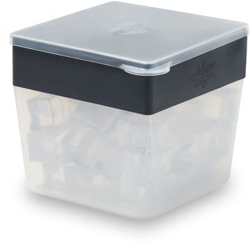 W&P Mini Ice Cube Box